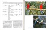 Aviculture in Australia. Keeping and breeding aviary birds.. Shephard, M.