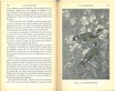 L'amateur d'oiseaux de volière. Espèces indigènes et exotiques, caractères, moeurs et habitudes.. Moreau, Henri
