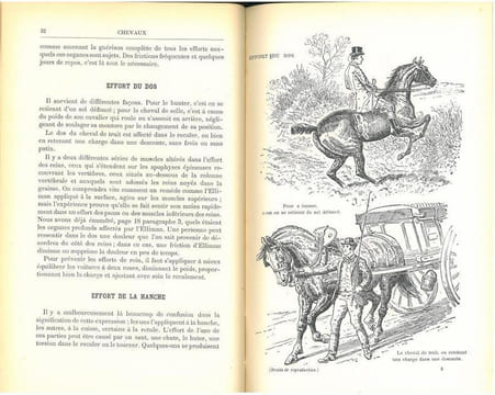 Premiers secours aux animaux malades et blessés. Les usages de l'embrocation d'Elliman pour chevaux, chiens, oiseaux et bétails.. Anonymous,
