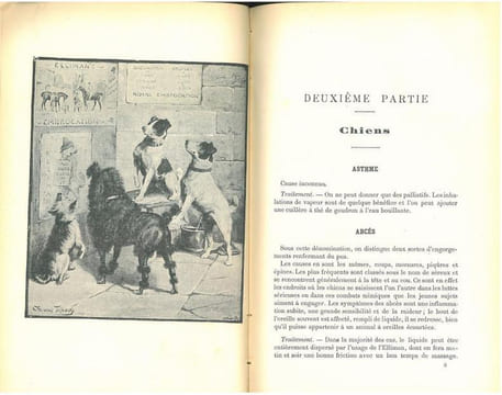 Premiers secours aux animaux malades et blessés. Les usages de l'embrocation d'Elliman pour chevaux, chiens, oiseaux et bétails.. Anonymous,