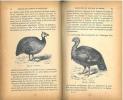 Traité de l'élevage et des maladies des animaux et oiseaux de basse-cour et des oiseaux d'agrément.. Benion, Ad.