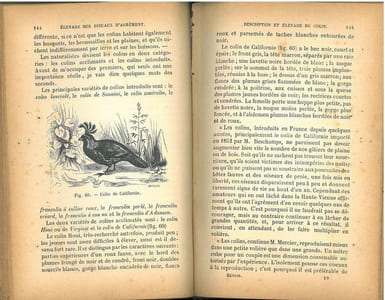Traité de l'élevage et des maladies des animaux et oiseaux de basse-cour et des oiseaux d'agrément.