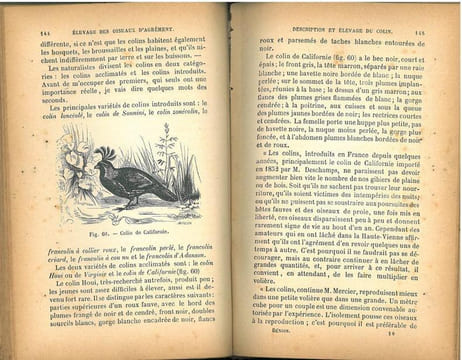Traité de l'élevage et des maladies des animaux et oiseaux de basse-cour et des oiseaux d'agrément.. Benion, Ad.