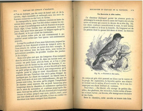 Traité de l'élevage et des maladies des animaux et oiseaux de basse-cour et des oiseaux d'agrément.. Benion, Ad.