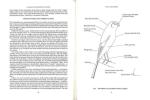 Canary standards in colour.. Dodwell, G.T. & J.W. Hills