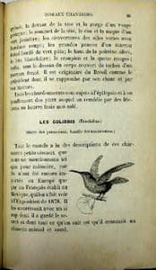 L'art d'élever et d'instruire les oiseaux, oiseaux chanteurs, oiseaux parleurs, oiseaux de volière.