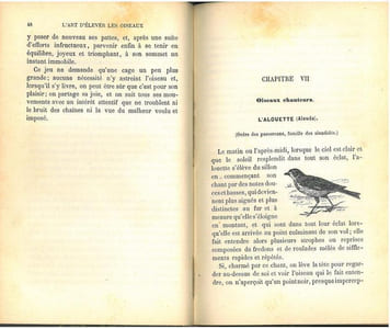 L'art d'élever et d'instruire les oiseaux, oiseaux chanteurs, oiseaux parleurs, oiseaux de volière.