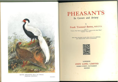 Pheasants in covert and aviary.