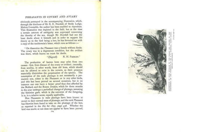 Pheasants in covert and aviary.