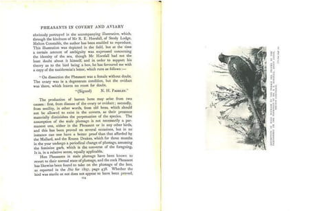 Pheasants in covert and aviary.. Barton, Frank Townend