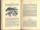 The natural history of cage birds, their management, habits, food, diseases, treatment, breeding, and the methods of catching them.. Bechstein, Johann ...