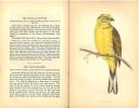 The natural history of cage birds, their management, habits, food, diseases, treatment, breeding, and the methods of catching them.. Bechstein, Johann ...