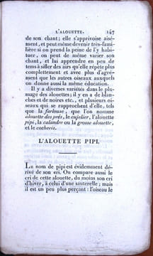 Traité des oiseaux de chant, des pigeons de volière, du perroquet, du faisan, du cygne et du paon.. Anonyme,