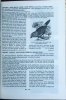 Encyclopédie de l'amateur d'oiseaux, 3 vol... Rutgers, A. et al.