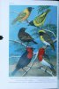 Encyclopédie de l'amateur d'oiseaux, 3 vol... Rutgers, A. et al.