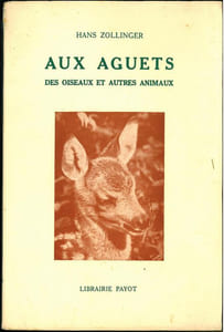 Aux aguets des oiseaux et autres animaux.