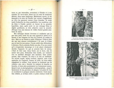 Aux aguets des oiseaux et autres animaux.
