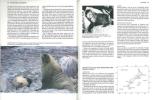 Seals of the world.. King, Judith E.