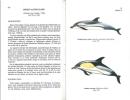 Guide des mammifères marins d'Europe.. Duguy, R. & D. Robineau