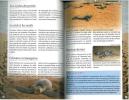 La tortue olivâtre, biologie, écologie, menaces, conservation.. Feuillet, G. & B. de Thoisy