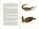 The book of indian reptiles.. Daniel, J.C.