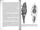 Bestimmen von Krokodilen und ihre Häute.. Wermuth, H. & K. Fuchs
