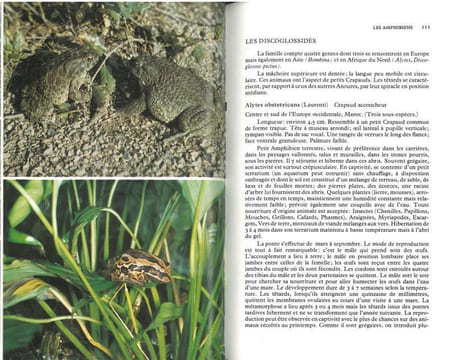 Guide du terrarium, technique, amphibiens, reptiles.. Matz, G. & M. Vanderhaege