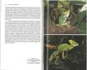 Guide du terrarium, technique, amphibiens, reptiles.. Matz, G. & M. Vanderhaege