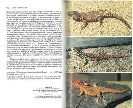 Guide du terrarium, technique, amphibiens, reptiles.. Matz, G. & M. Vanderhaege