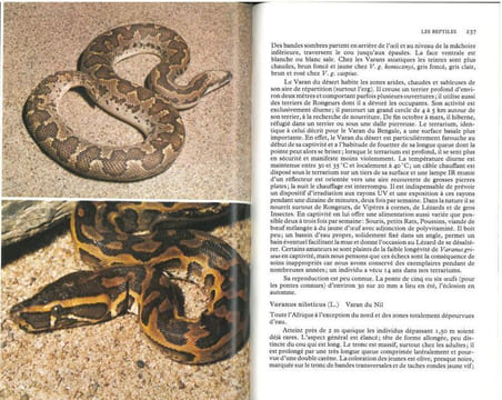Guide du terrarium, technique, amphibiens, reptiles.. Matz, G. & M. Vanderhaege