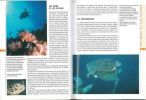 Guide des tortues. 190 espèces du monde entier.. Ferri, Vicenzo