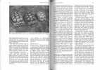 International Zoo Yearbook. Vol. 28. Reptiles and amphibians.. Olney, P.J.S. et al.