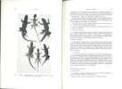 Faune de Madagascar. XLV. Reptiles. Sauriens, Iguanidae.. Blanc, Charles P.