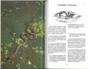 Guide des serpents d'Europe, d'Afrique du nord et du Moyen-Orient.. Gruber, U.