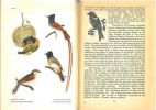 Common birds of the bush.. Winterbottom, J.M.