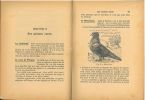 Le pigeon.. Lissot, G.