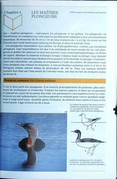 Encyclopédie illustrée : les oiseaux.. Veselovsky, Z.
