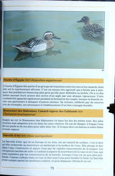 Encyclopédie illustrée : les oiseaux.. Veselovsky, Z.