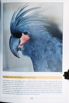 Encyclopédie illustrée : les oiseaux.. Veselovsky, Z.