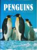 Penguins, a portrait of the animal world.. Hastings, D.