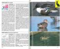Les oiseaux d'Europe, rivières, étangs et bord de mer.. Sauer, F.