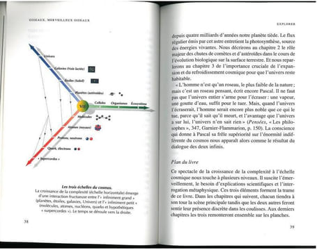 Oiseaux, merveilleux oiseaux. Les dialogues du ciel et de la vie.. Reeves, Hubert