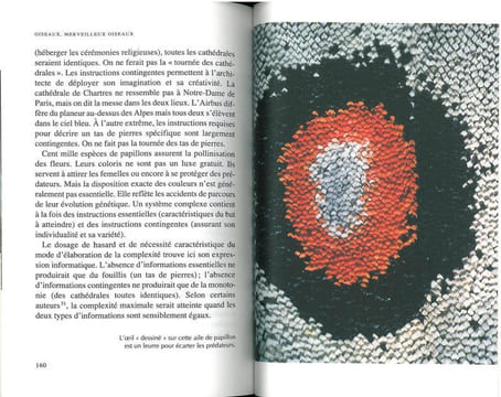 Oiseaux, merveilleux oiseaux. Les dialogues du ciel et de la vie.. Reeves, Hubert
