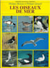 Book Picture
