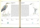 The illustrated book of birds.. Felix, J.& K. Hisek