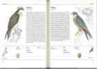 The illustrated book of birds.. Felix, J.& K. Hisek