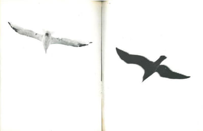 Jonathan Livingston le goéland.