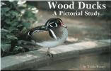 Wood ducks, a pictorial study.. Veasey, T.