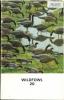 The Wildfowl Trust report, vol. 20.. Collectif,