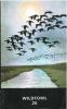 The Wildfowl Trust report, vol. 25.. Collectif,